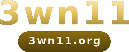 3wn11 logo
